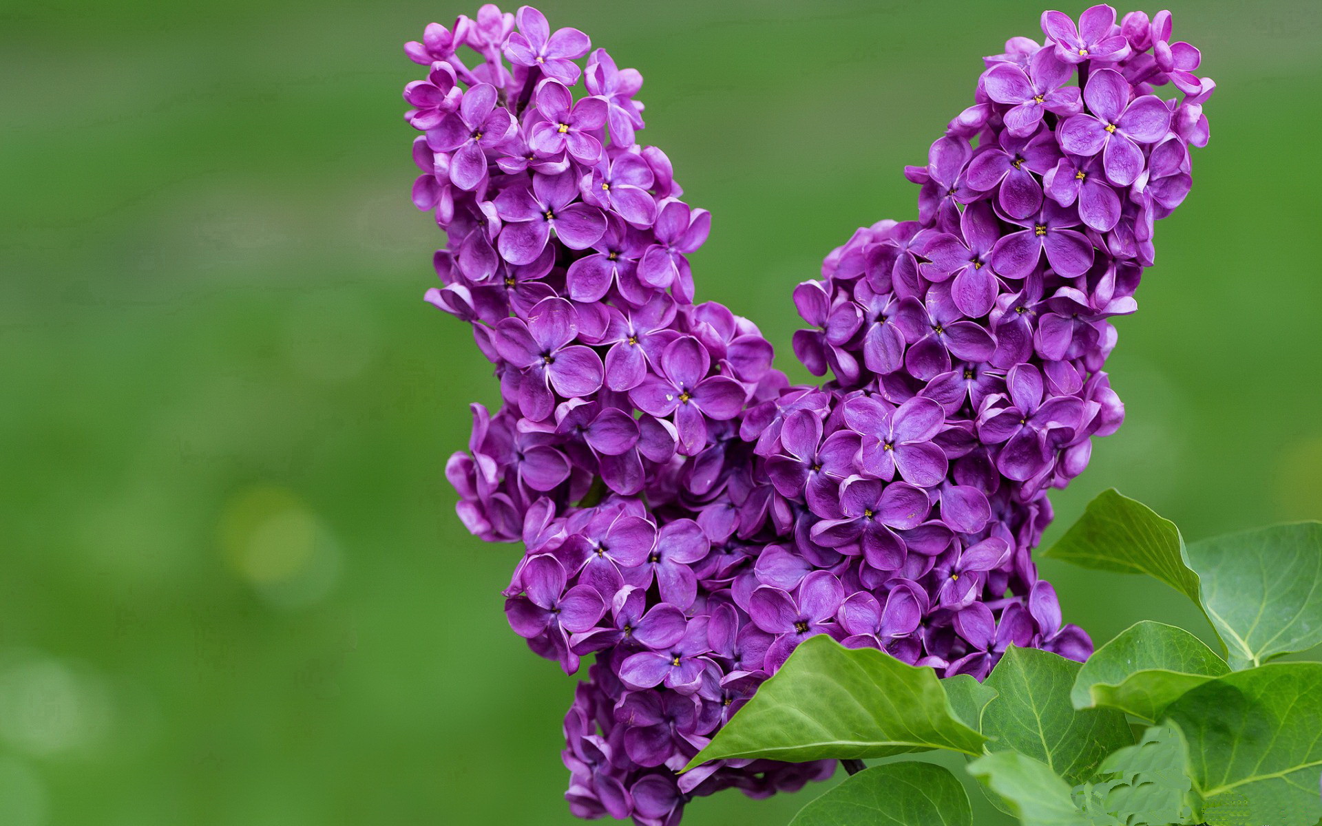 曹缘展现强大心理素质与赛场韧性,冠军专访曹缘