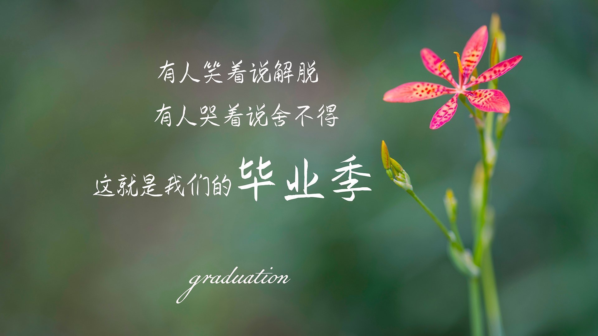 林丹创造历史羽毛球世锦赛,林丹羽毛球夺冠视频